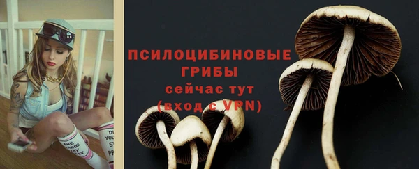прущая мука Тольятти