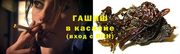 винт Лагань