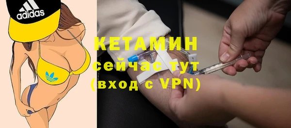 винт Лагань