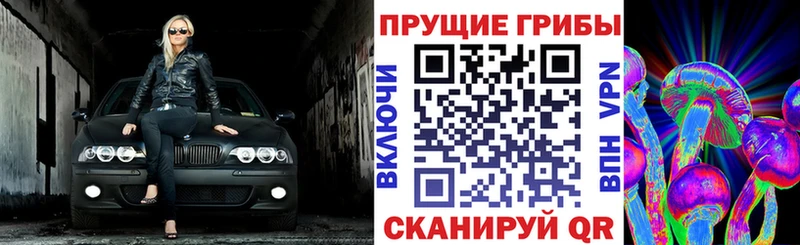 закладки  Бобров  Галлюциногенные грибы мицелий 